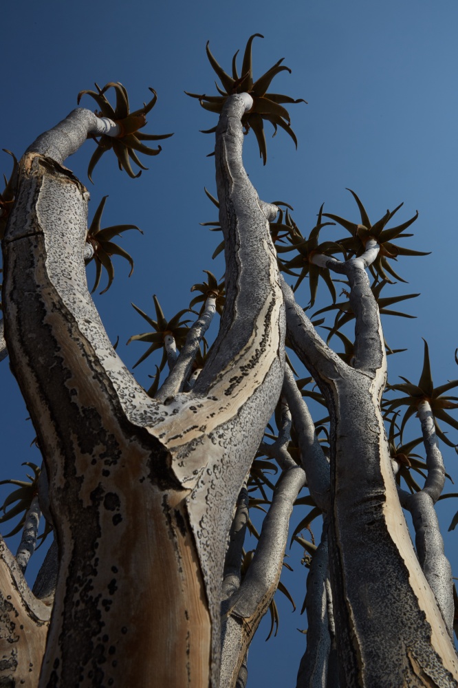 Namibie