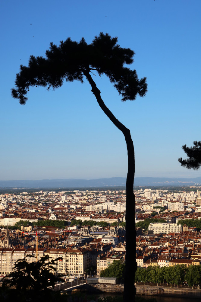 Lyon et alentours